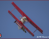 TSR Watermark - 0358